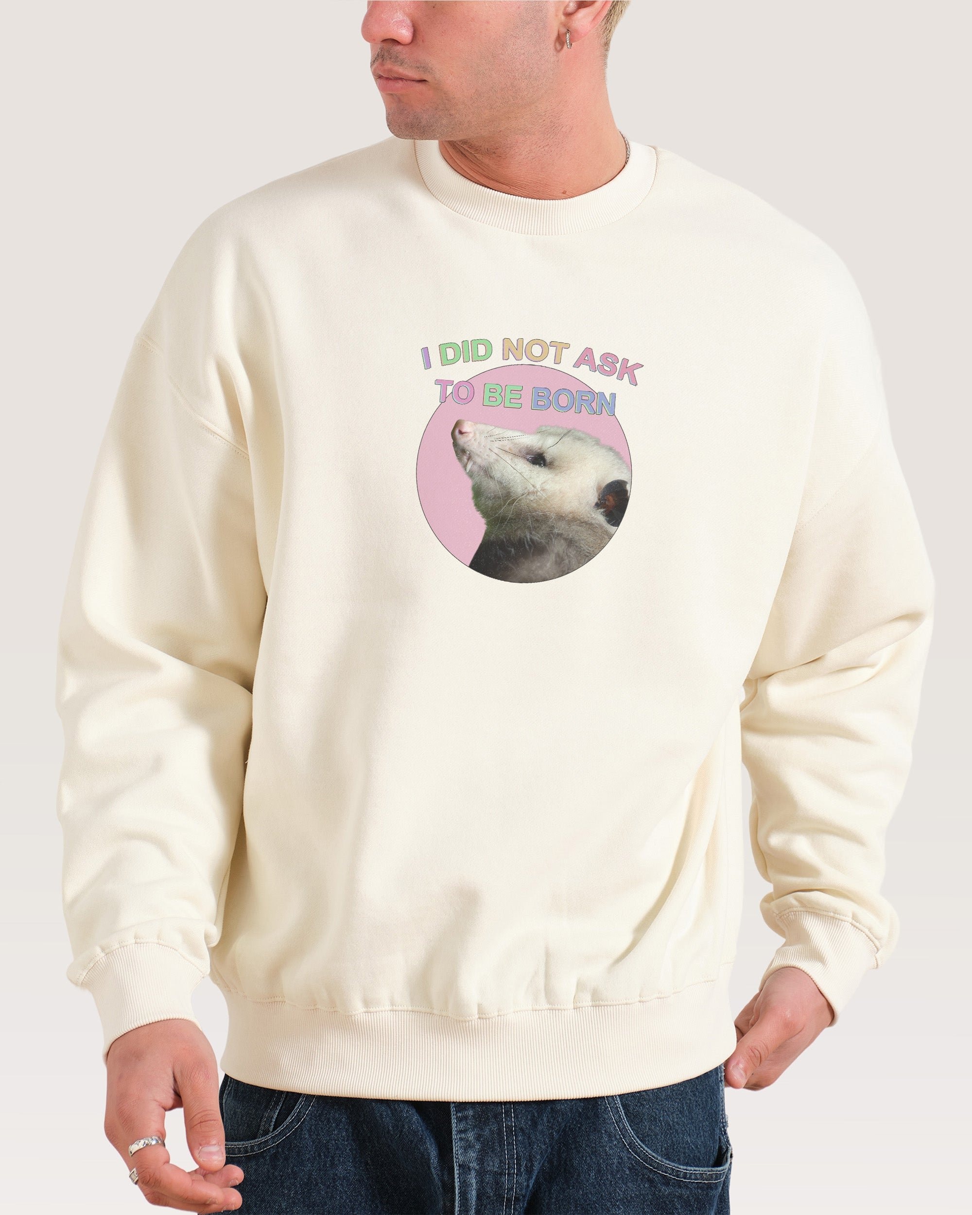 I Did Not Ask Sweatshirt